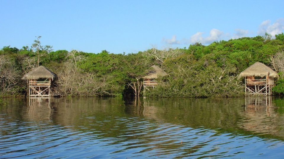 Cabana rústica sobre palafitas em lago cercado por vegetação